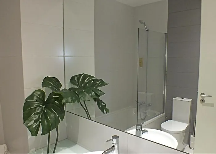 Valadim Flats_2t Lejlighed Porto